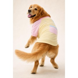 Soft Sun Orta ve Büyük Irk Köpek Tişörtü | Sarı Mavi Pembe Yazlık Köpek Kıyafeti