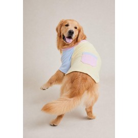 Soft Sun Orta ve Büyük Irk Köpek Tişörtü | Sarı Mavi Pembe Yazlık Köpek Kıyafeti