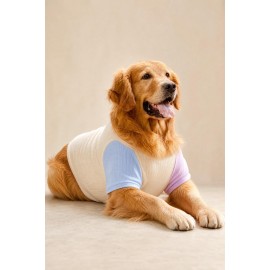Soft Sun Orta ve Büyük Irk Köpek Tişörtü | Sarı Mavi Pembe Yazlık Köpek Kıyafeti