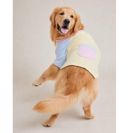 Soft Sun Orta ve Büyük Irk Köpek Tişörtü | Sarı Mavi Pembe Yazlık Köpek Kıyafeti