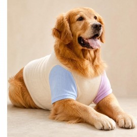 Soft Sun Orta ve Büyük Irk Köpek Tişörtü | Sarı Mavi Pembe Yazlık Köpek Kıyafeti
