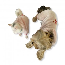 Softie Pink Butterfly Duo Kedi Tulumu Kedi Kıyafeti