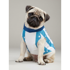 Star Sky Rain Küçük Köpek Yağmurluk Ceket