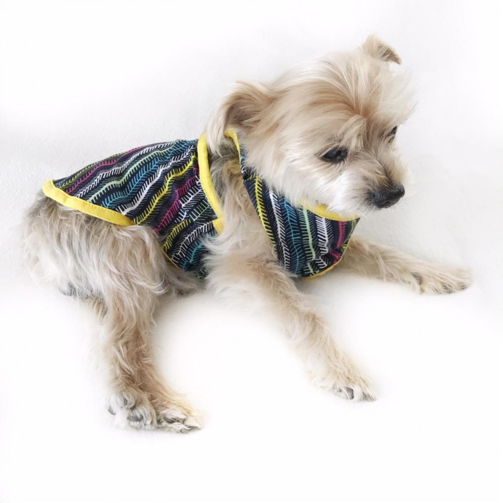 STRAND YELLOW ATLET by Kemique Köpek Kıyafeti Köpek Elbisesi