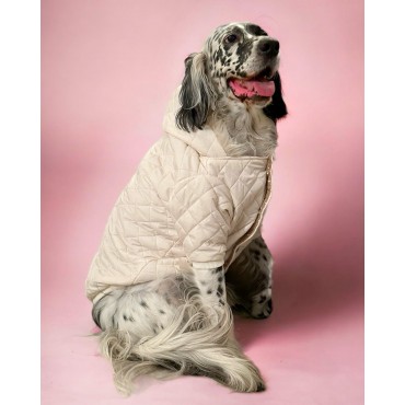 Cream Comfly Köpek Montu, Orta ve Büyük Irklar için