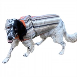 Stripe Orange Köpek Ceketi, Orta ve Büyük ırklar için