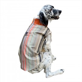 Stripe Orange Köpek Ceketi, Orta ve Büyük ırklar için