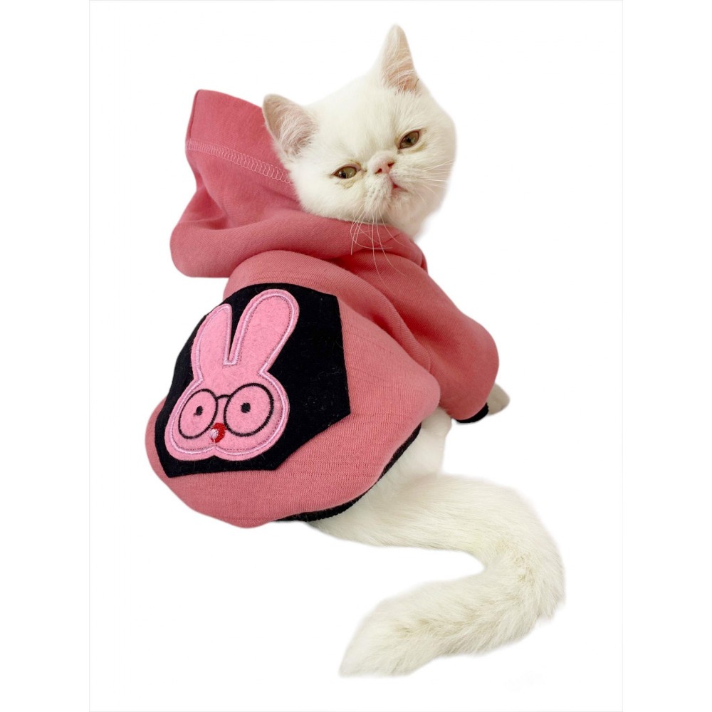 Student Rabbit Sweatshirt Kedi Kıyafeti Kedi Elbisesi