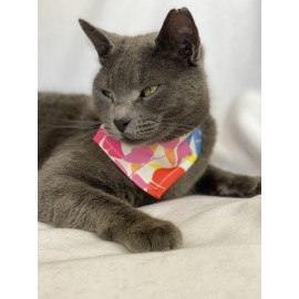 Autumn Kedi Bandana, Fular, Kedi Kıyafeti Kedi Elbisesi, Kedi Tasması