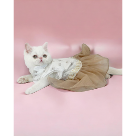 Sun Cream Duo Tütülü Kedi Elbisesi, Kıyafeti Tutu