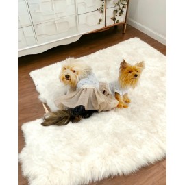 Sun Cream Duo Tütülü Köpek Elbisesi,  Kıyafeti Tutu