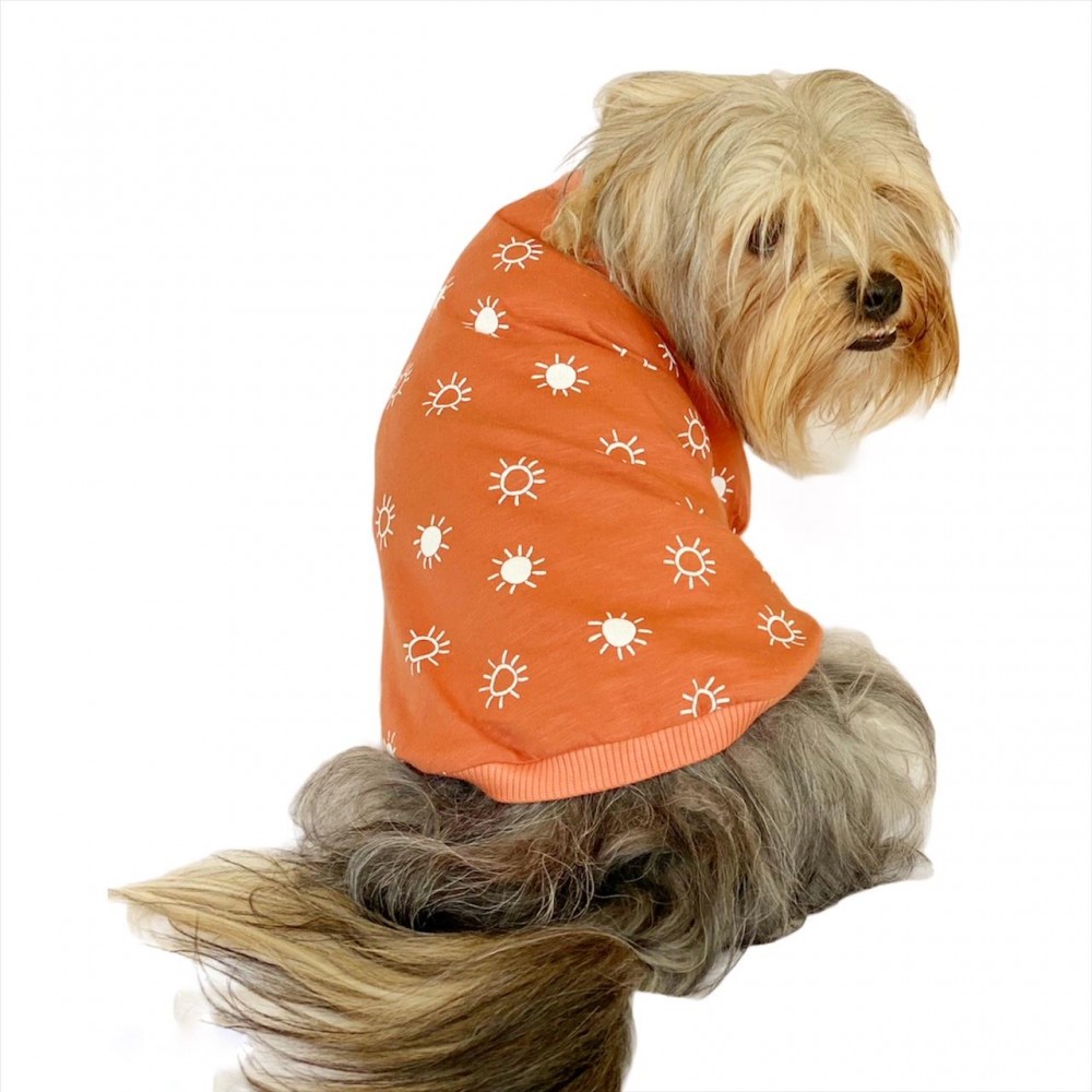 Sunny Oval Yaka Tişört Köpek Kıyafeti Köpek Elbisesi