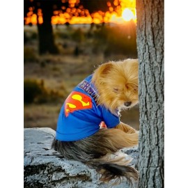 Superman Köpek Tişört Köpek Kıyafeti