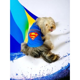 Superman Köpek Tişört Köpek Kıyafeti