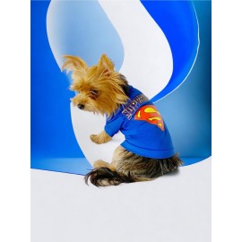 Superman Köpek Tişört Köpek Kıyafeti
