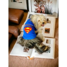 Superman Köpek Tişört Köpek Kıyafeti