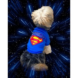 Superman Köpek Tişört Köpek Kıyafeti