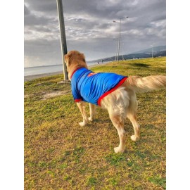 Superman Tişört Büyük Irk Köpekler İçin