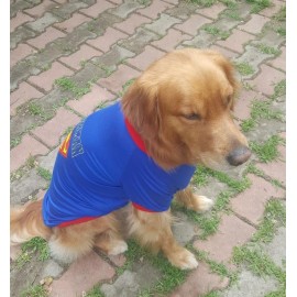 Superman Tişört Büyük Irk Köpekler İçin