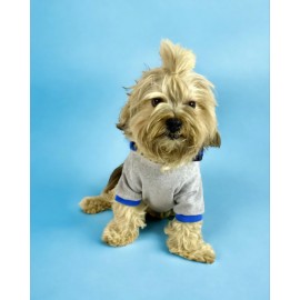 Blue Line Kapşonlu Sweatshirt Köpek Kıyafeti Köpek Elbisesi 