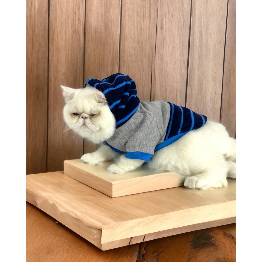 Blue Line Sweatshirt Kapşonlu Kedi Kıyafeti Kedi Sweatshirt