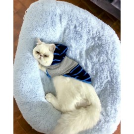 Blue Line Sweatshirt Kapşonlu Kedi Kıyafeti Kedi Sweatshirt