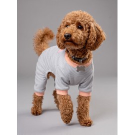 Sweet Cupcake Köpek Tulumu | Gri Beyaz İnce Çizgili 