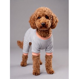 Sweet Cupcake Köpek Tulumu | Gri Beyaz İnce Çizgili 
