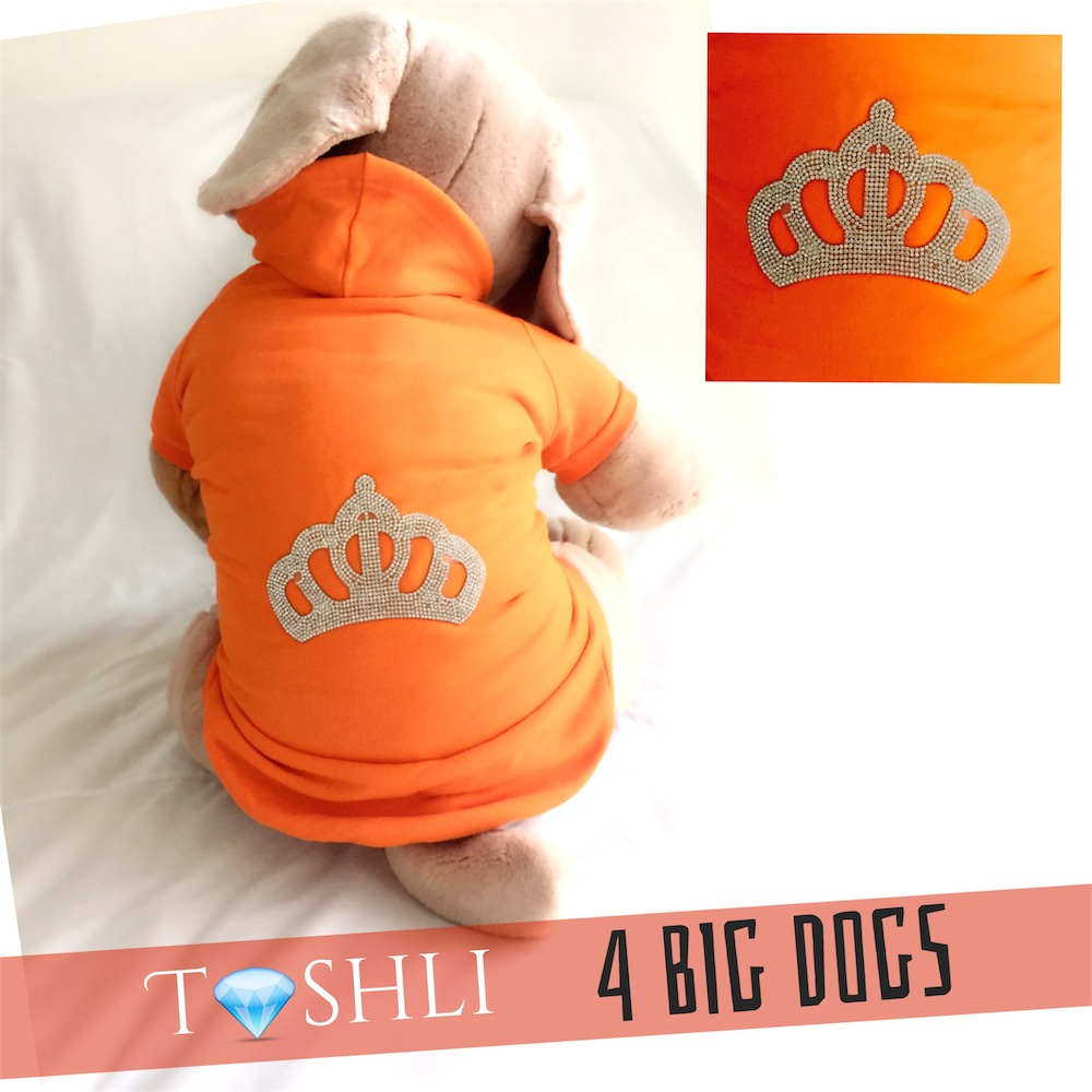 TASHLI 4 BIG DOGS King Crown - Köpek kıyafeti