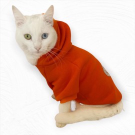 Tashlı King Orange Sweatshirt  Kedi Kıyafeti 