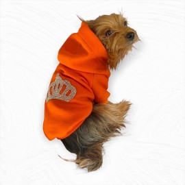 Tashlı King Orange Sweatshirt Köpek Kıyafeti 