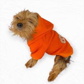 Tashlı King Orange Sweatshirt Köpek Kıyafeti 