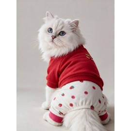 Tatlı Çilek Duo – Çilekli Kedi Tulum & Sweat Kombini