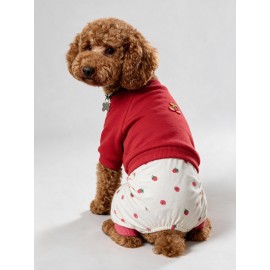 Tatlı Çilek Duo – Çilekli Köpek Tulum & Sweat Kombini
