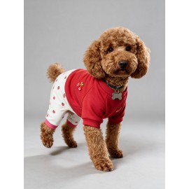 Tatlı Çilek Duo – Çilekli Köpek Tulum & Sweat Kombini