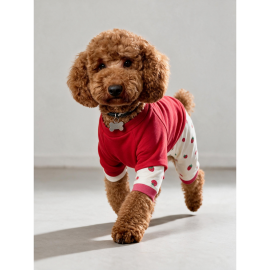 Tatlı Çilek Duo – Çilekli Köpek Tulum & Sweat Kombini