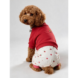 Tatlı Çilek Duo – Çilekli Köpek Tulum & Sweat Kombini