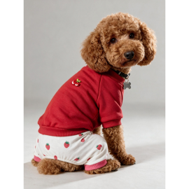 Tatlı Çilek Duo – Çilekli Köpek Tulum & Sweat Kombini