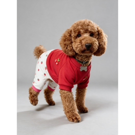 Tatlı Çilek Duo – Çilekli Köpek Tulum & Sweat Kombini