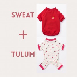 Tatlı Çilek Duo – Çilekli Köpek Tulum & Sweat Kombini