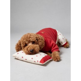 Tatlı Çilek Köpek Rüyası | Pamuklu Çilekli Köpek Tulumu, Kırmızı Sweatshirt ve Mini Yastık | 3 Parça