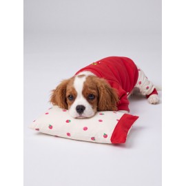 Tatlı Çilek Köpek Rüyası | Pamuklu Çilekli Köpek Tulumu, Kırmızı Sweatshirt ve Mini Yastık | 3 Parça