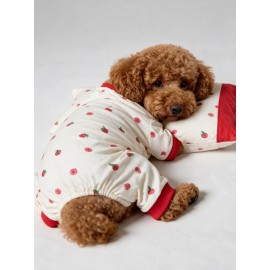 Tatlı Çilek Köpek Rüyası | Pamuklu Çilekli Köpek Tulumu, Kırmızı Sweatshirt ve Mini Yastık | 3 Parça