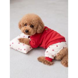 Tatlı Çilek Köpek Rüyası | Pamuklu Çilekli Köpek Tulumu, Kırmızı Sweatshirt ve Mini Yastık | 3 Parça