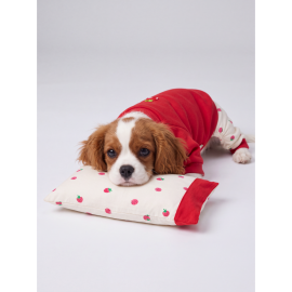 Tatlı Çilek Köpek Rüyası | Pamuklu Çilekli Köpek Tulumu, Kırmızı Sweatshirt ve Mini Yastık | 3 Parça