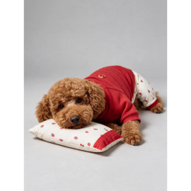 Tatlı Çilek Köpek Rüyası | Pamuklu Çilekli Köpek Tulumu, Kırmızı Sweatshirt ve Mini Yastık | 3 Parça