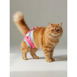 Teddie Dişi Kedi Regl Külotu | Kedi Donu | Kedi İç Çamaşırı | Ayarlanabilir Bağcıklı | Küçük Irklar İçin