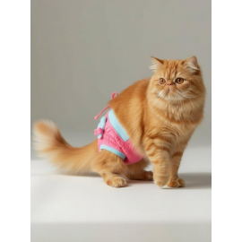 Teddie Dişi Kedi Regl Külotu | Kedi Donu | Kedi İç Çamaşırı | Ayarlanabilir Bağcıklı | Küçük Irklar İçin