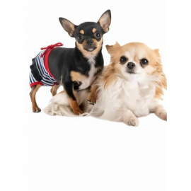 Pretty Liva Dişi Köpek Regl Külotu | Köpek Donu | Köpek İç Çamaşırı | Pet Kıyafet | Küçük Irklar İçin