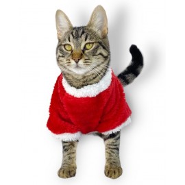 Cat Santa Bow Yılbaşı Kedi Sweati